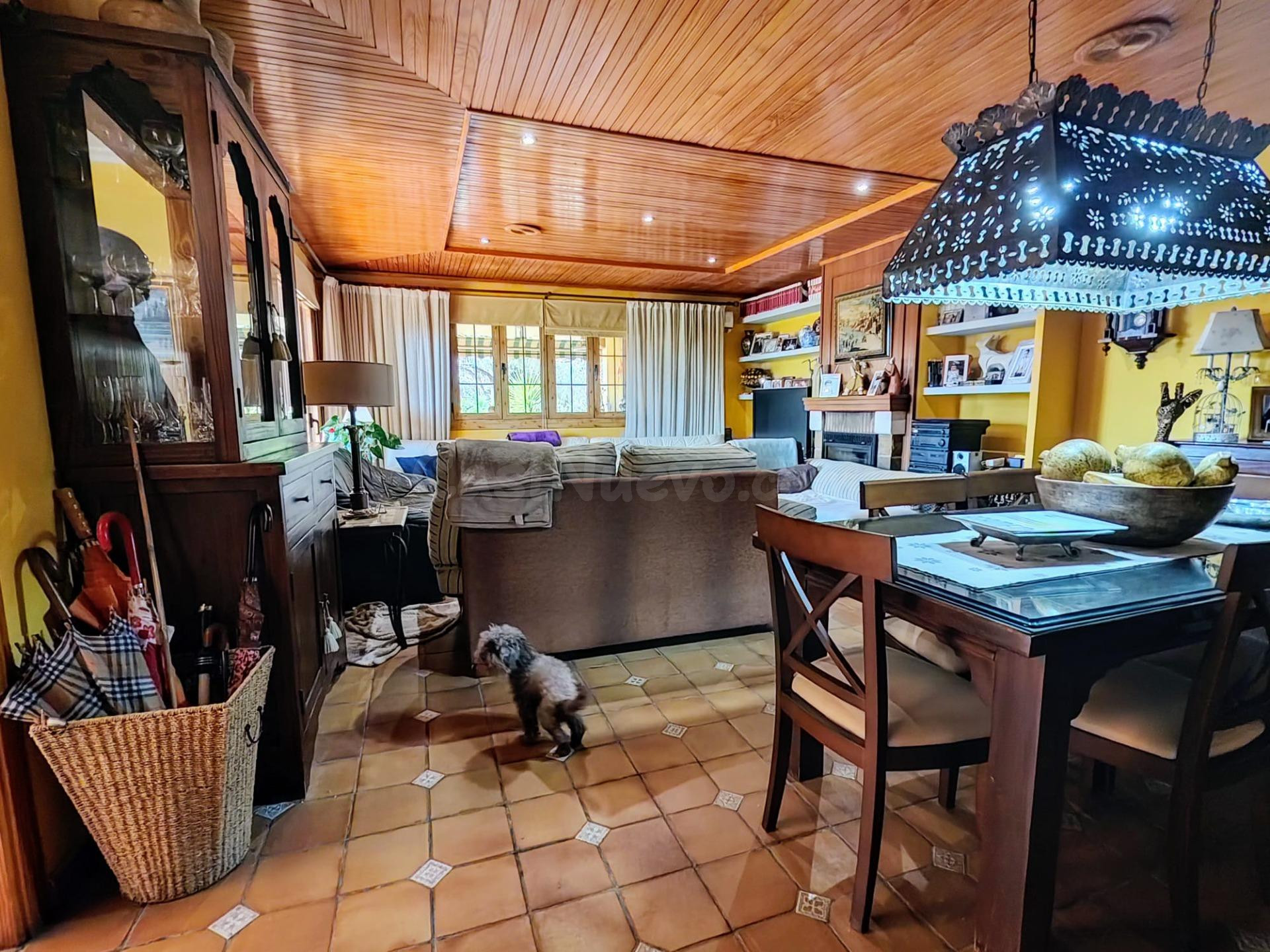 Casa con terreno 5 habitaciones 450m² en venta - San Miguel  - foto 3