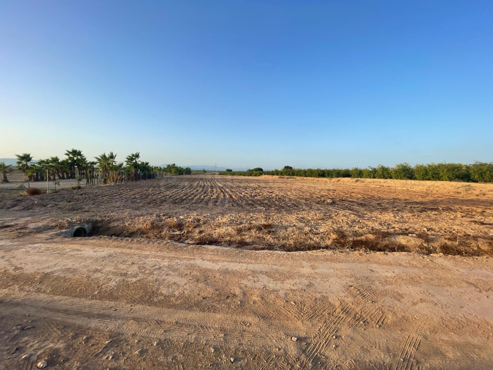 Terreno rural en venta - La Hoya-Daimes-El Derramador - foto 2