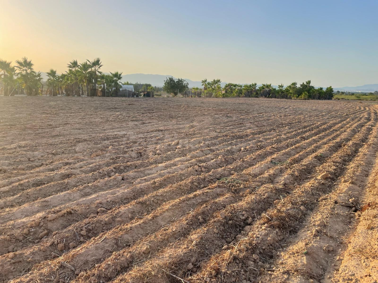 Terreno rural en venta - La Hoya-Daimes-El Derramador - foto 3