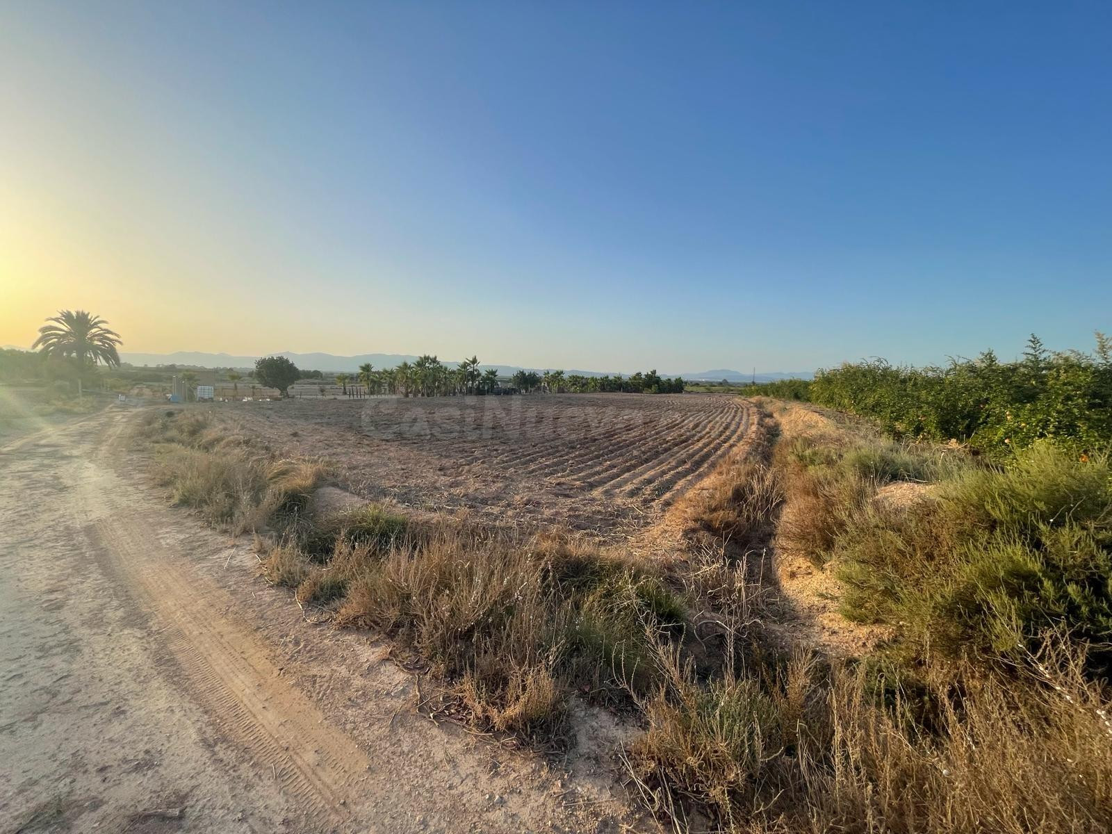Terreno rural en venta - La Hoya-Daimes-El Derramador - foto 5