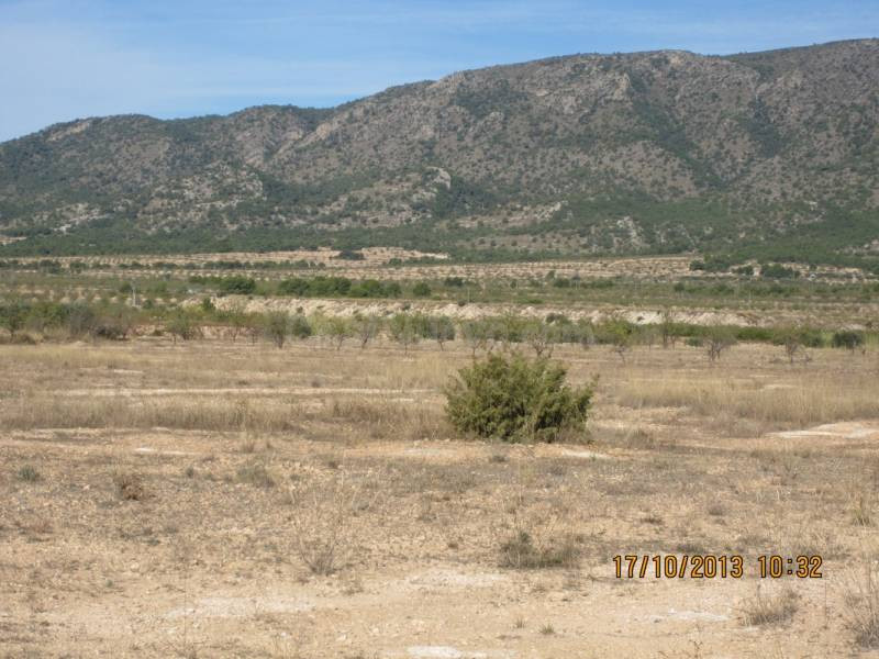 MAGNIFICO TERRENO PARA CONSTRUIR CHALET