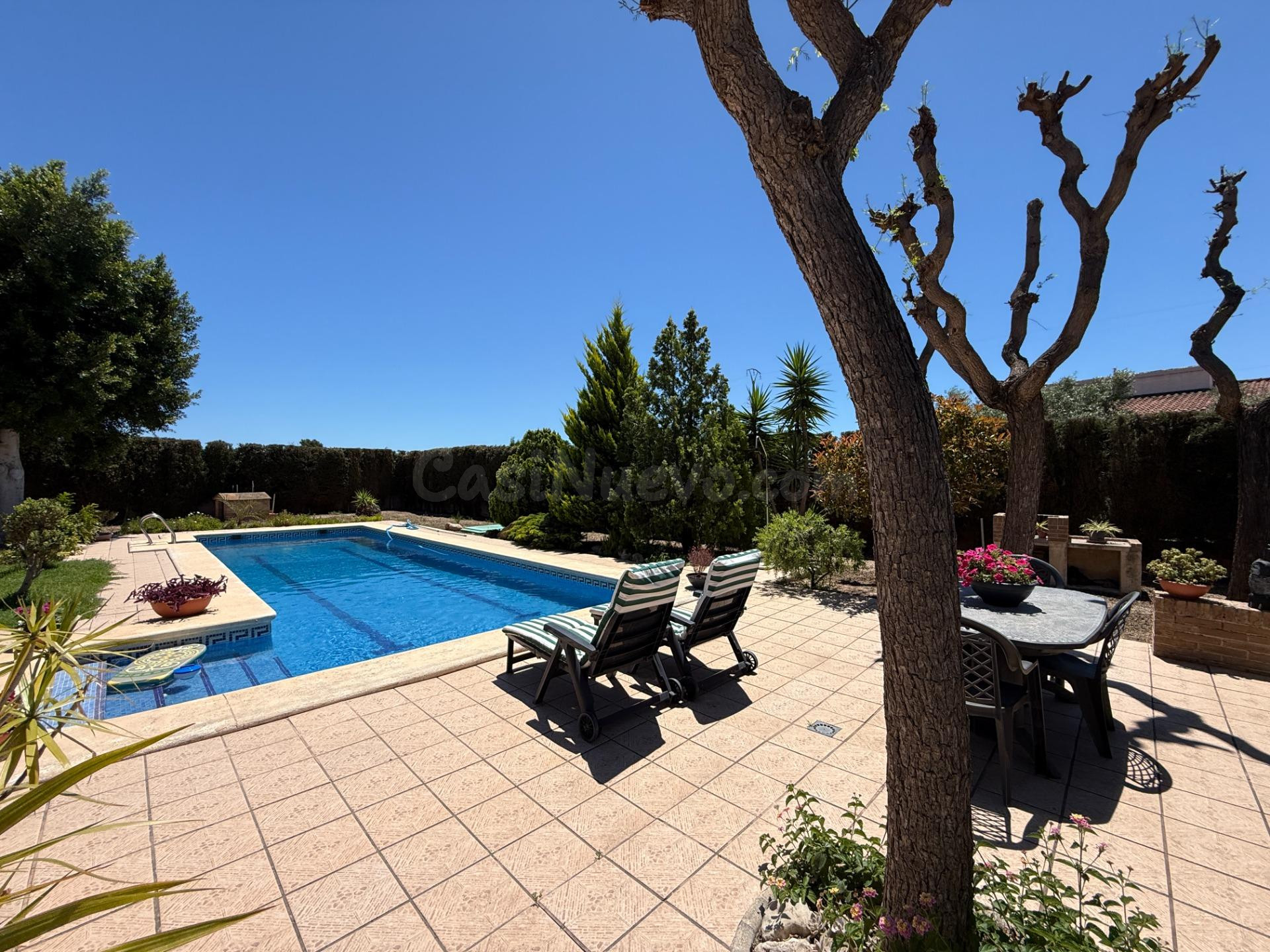 CHALET A 5 MINUTOS DEL CENTRO DE ELCHE - foto 2