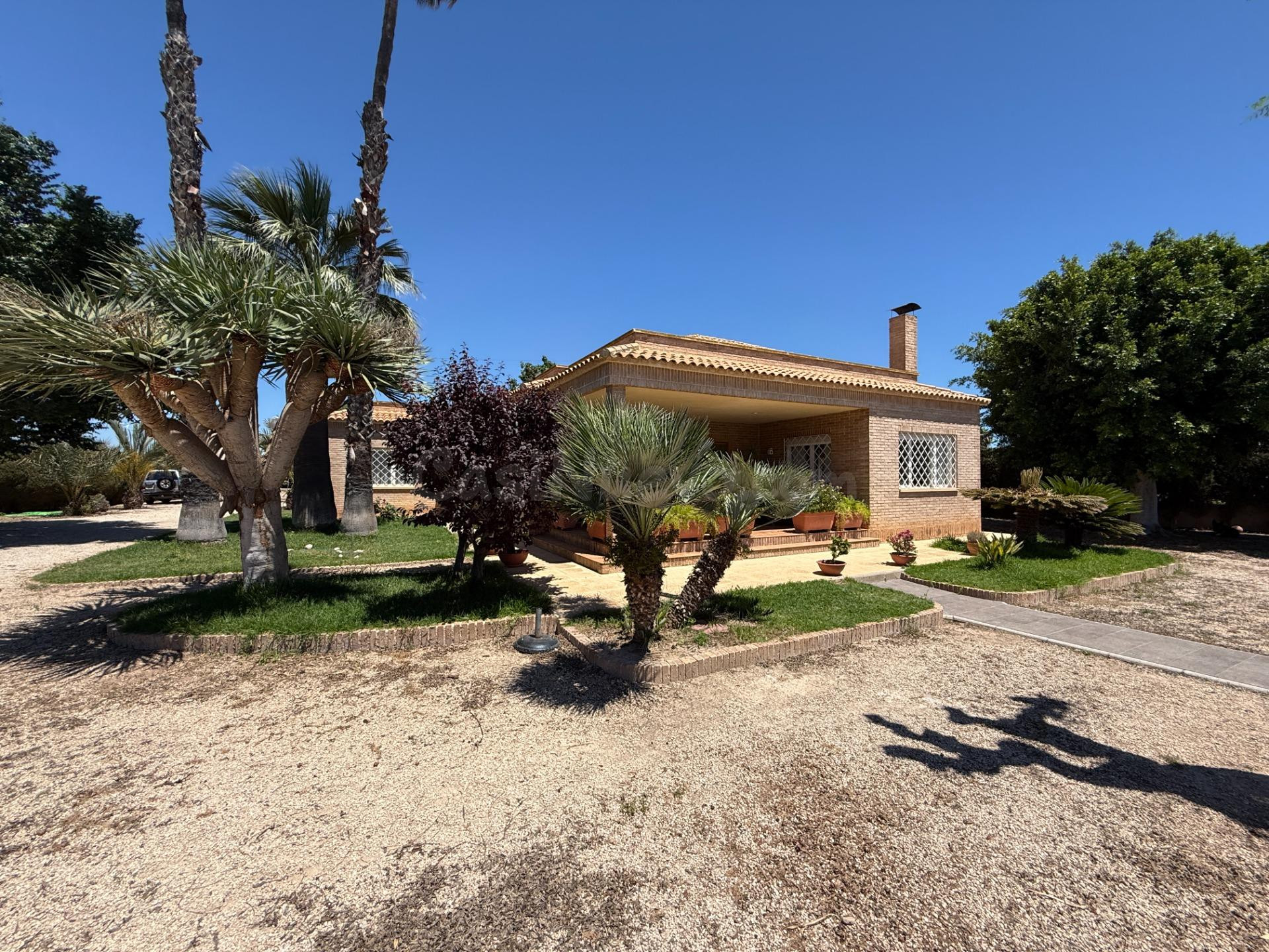 CHALET A 5 MINUTOS DEL CENTRO DE ELCHE - foto 4