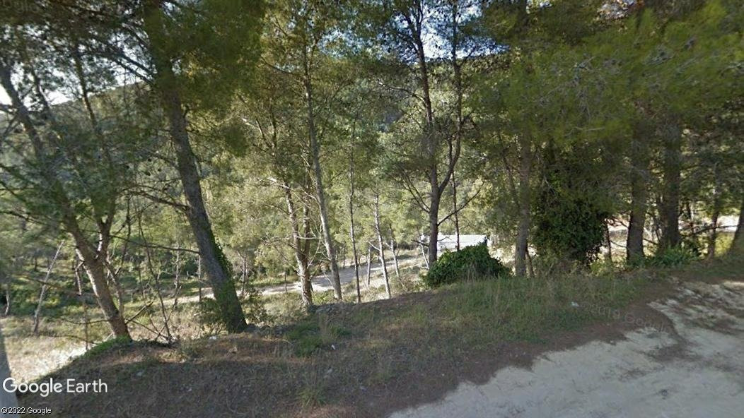 Parcela en venta - Les Palmeres - foto 2