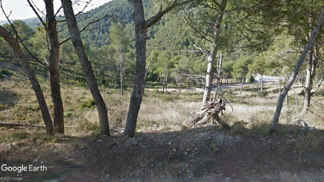 Parcela en venta - Les Palmeres - foto 5