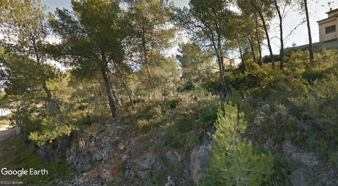 Terreno urbano en venta - Les Palmeres - foto 4