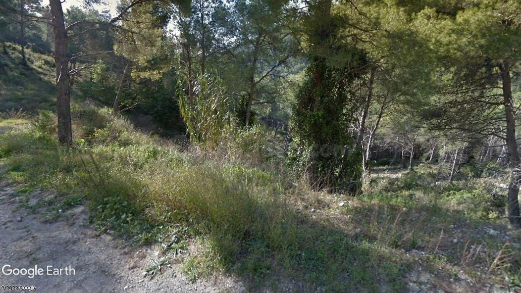 Terreno urbano en venta - Les Palmeres - foto 2