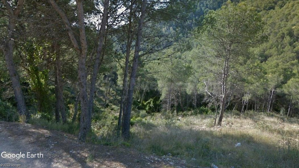 Terreno urbano en venta - Les Palmeres - foto 5