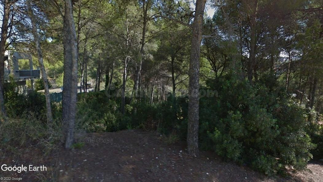 Parcela en venta - Les Palmeres - foto 3