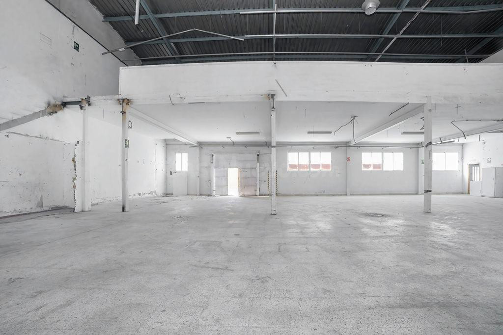 NAVE INDUSTRIAL EN ELDA - foto 5