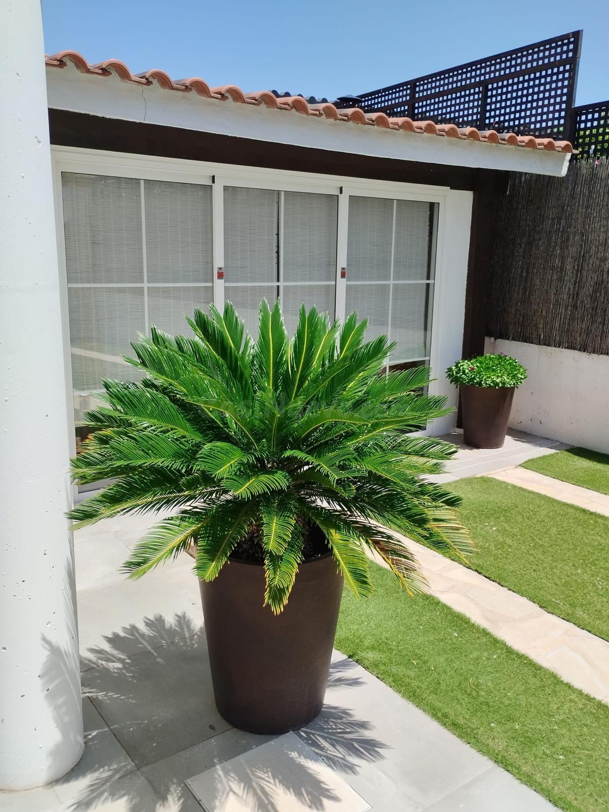Maravilloso Chalet en Urbanización Privada con Todos los Ser - foto 4