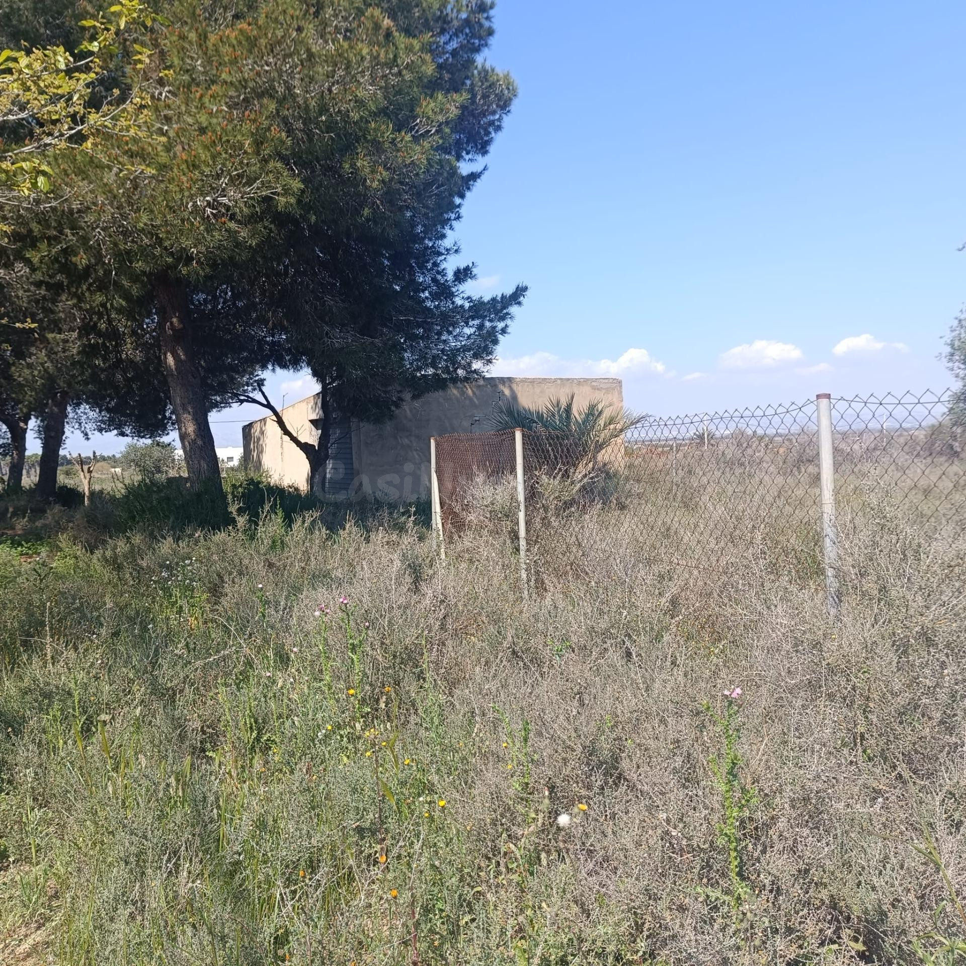 PARCELA EN VENTA DE 13.849 M2 CON CASA - foto 2