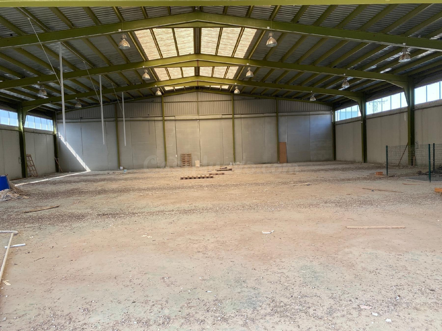 Nave Industrial en Jumilla - foto 3