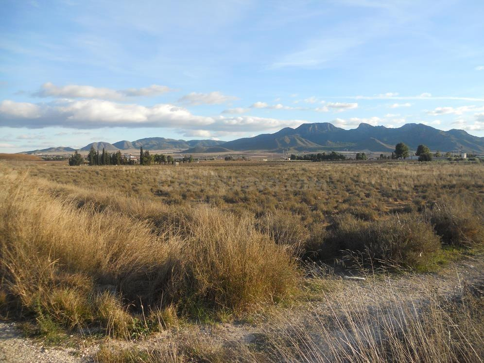 Oportunidad Única: Terreno Urbanizable en Jumilla Rural - foto 2