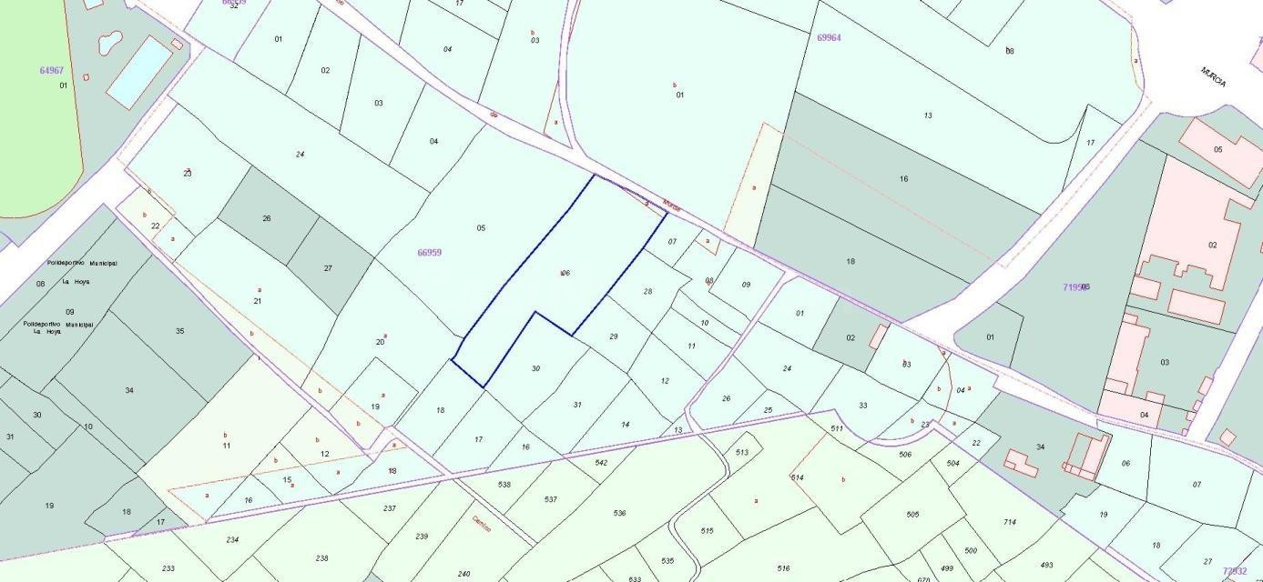 Oportunidad Única: Terreno Urbanizable en Jumilla Rural - foto 3