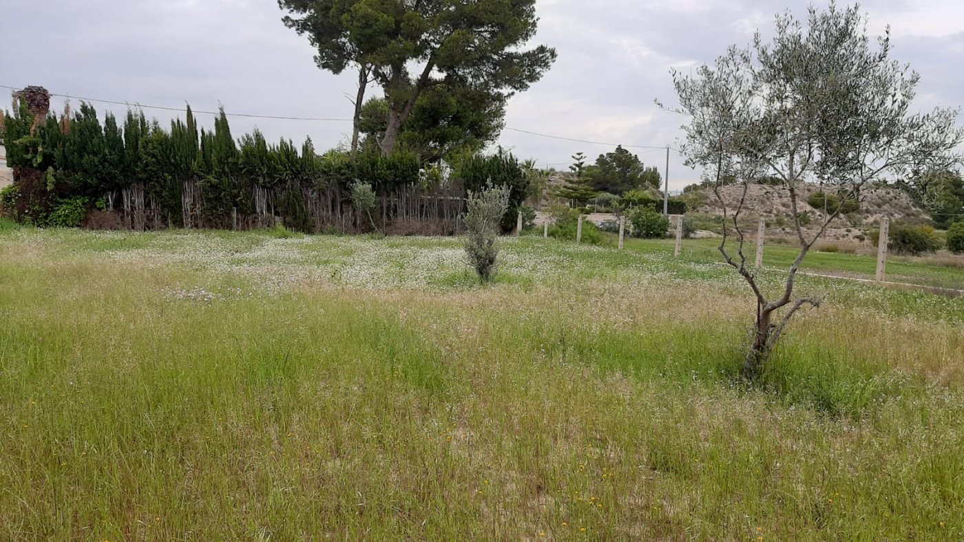 PARCELAS RUSTICAS EN ZONA SANTA ANA/REBOLLEDO