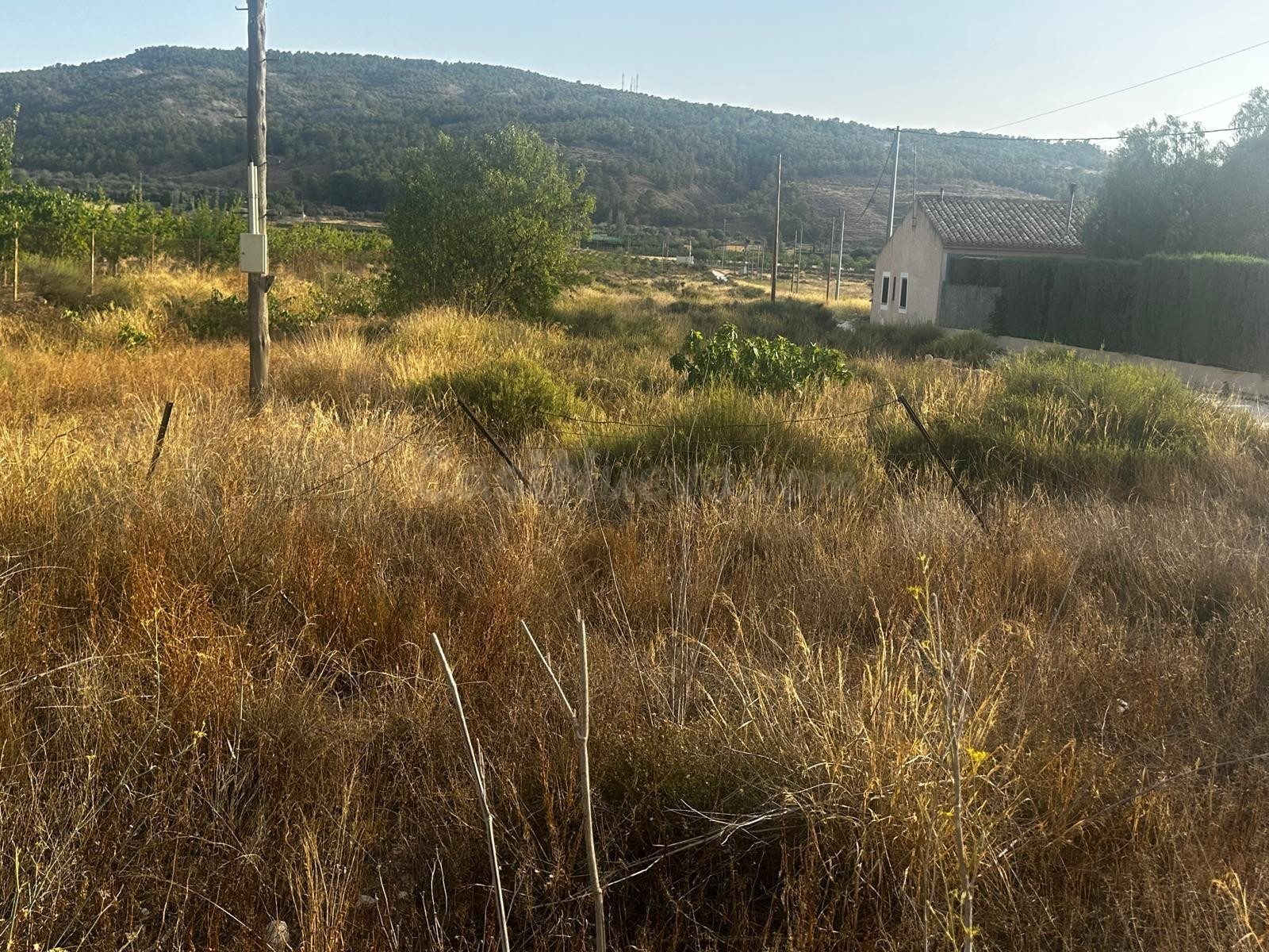 Terreno rural de 13.000 m2 en Casas del Señor (Monóvar)