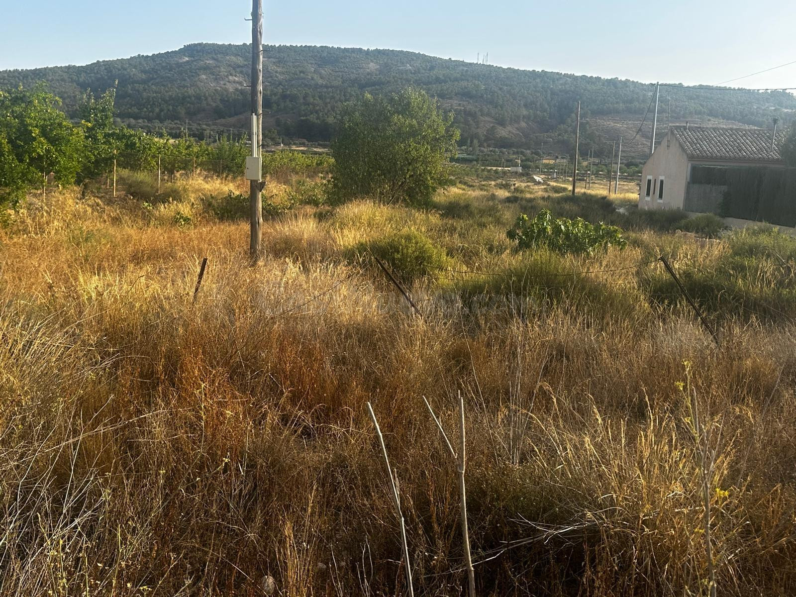 Terreno rural de 13.000 m2 en Casas del Señor (Monóvar) - foto 2