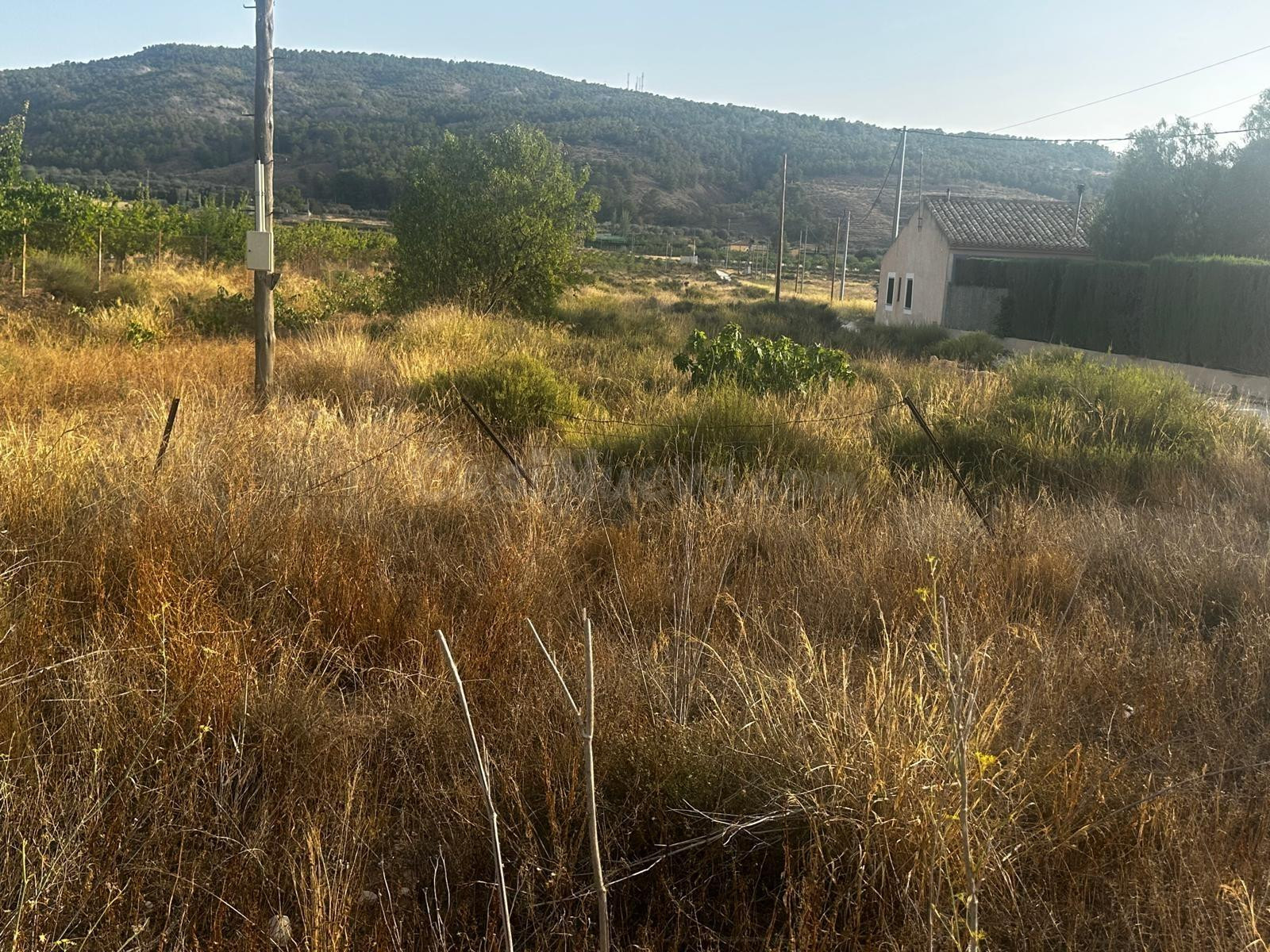 Terreno rural de 13.000 m2 en Casas del Señor (Monóvar) - foto 3