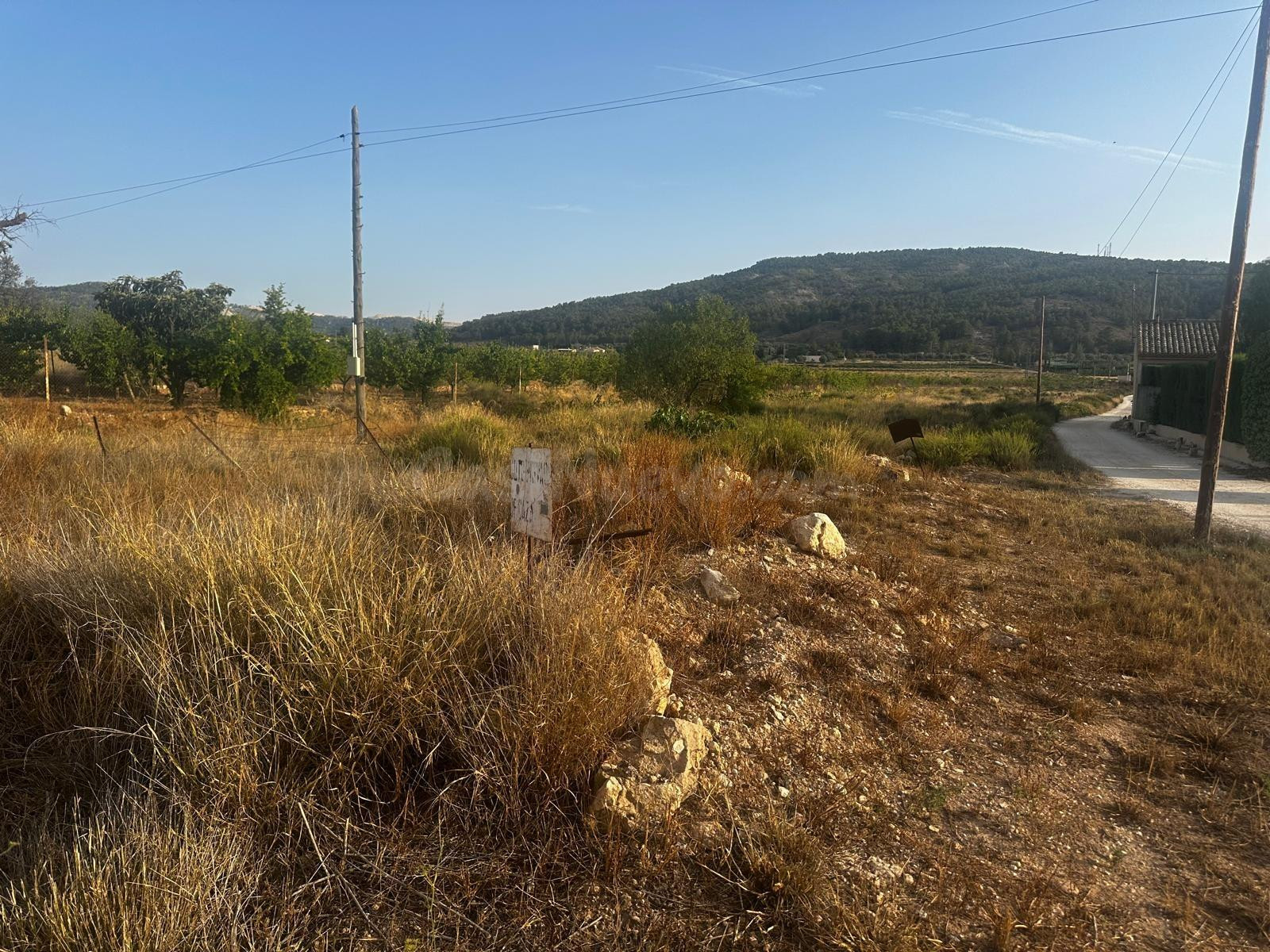 Terreno rural de 13.000 m2 en Casas del Señor (Monóvar) - foto 4