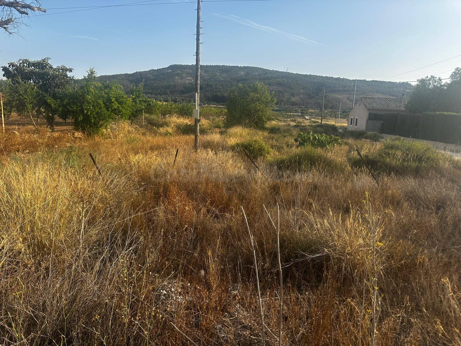 Terreno rural de 13.000 m2 en Casas del Señor (Monóvar) - foto 5