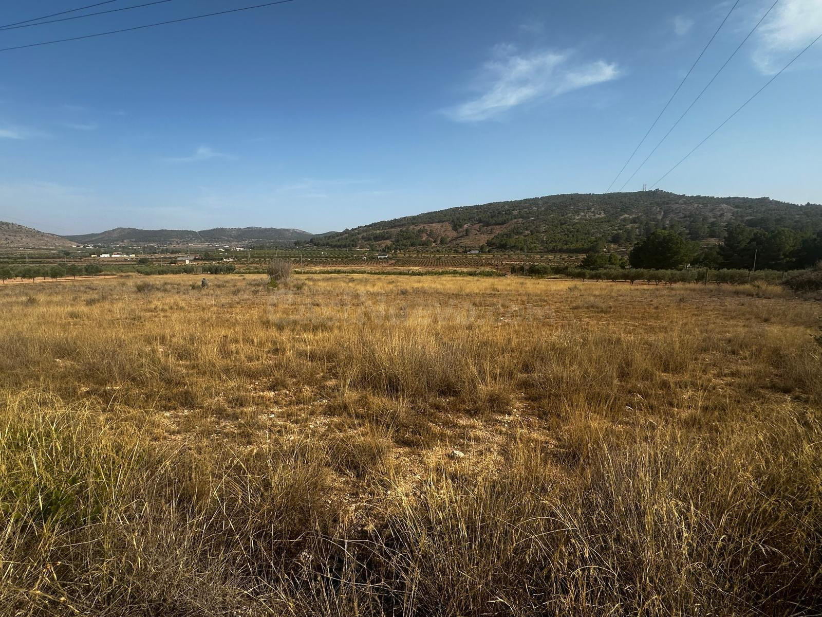 Terreno rural de 7.000 m2 en Casas del Señor (Monóvar)  ¡Por