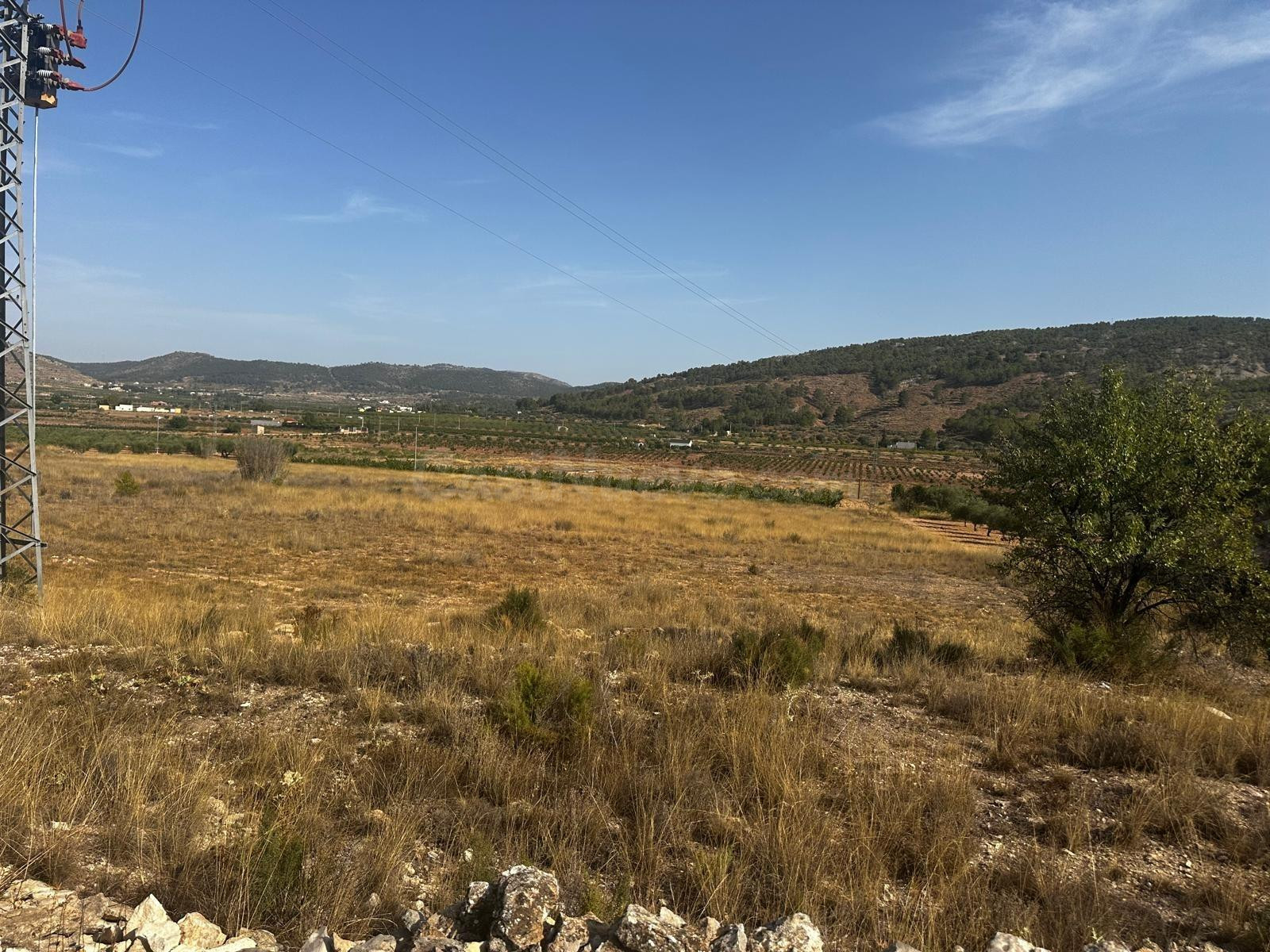 Terreno rural de 7.000 m2 en Casas del Señor (Monóvar)  ¡Por - foto 2