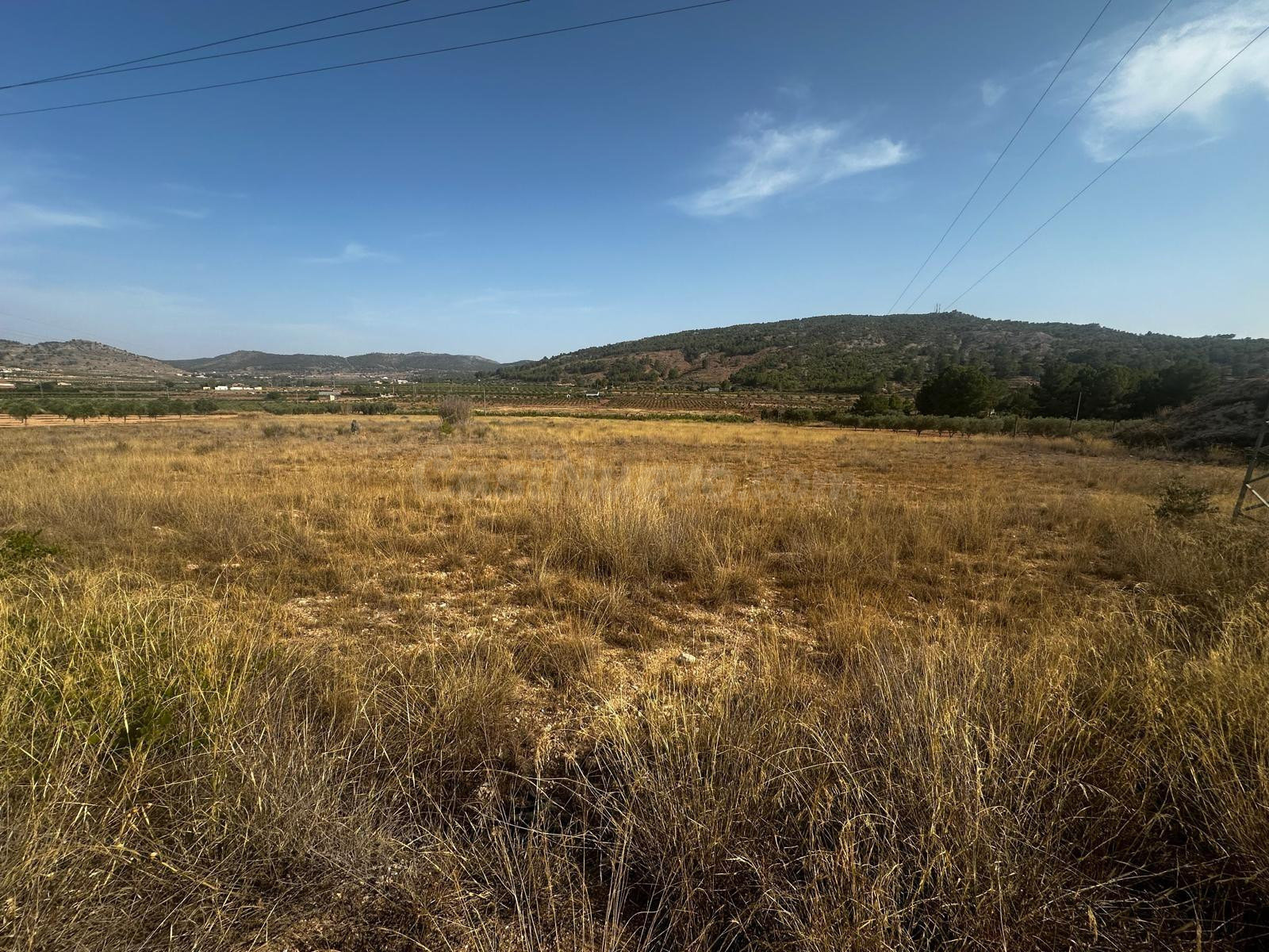 Terreno rural de 7.000 m2 en Casas del Señor (Monóvar)  ¡Por - foto 5