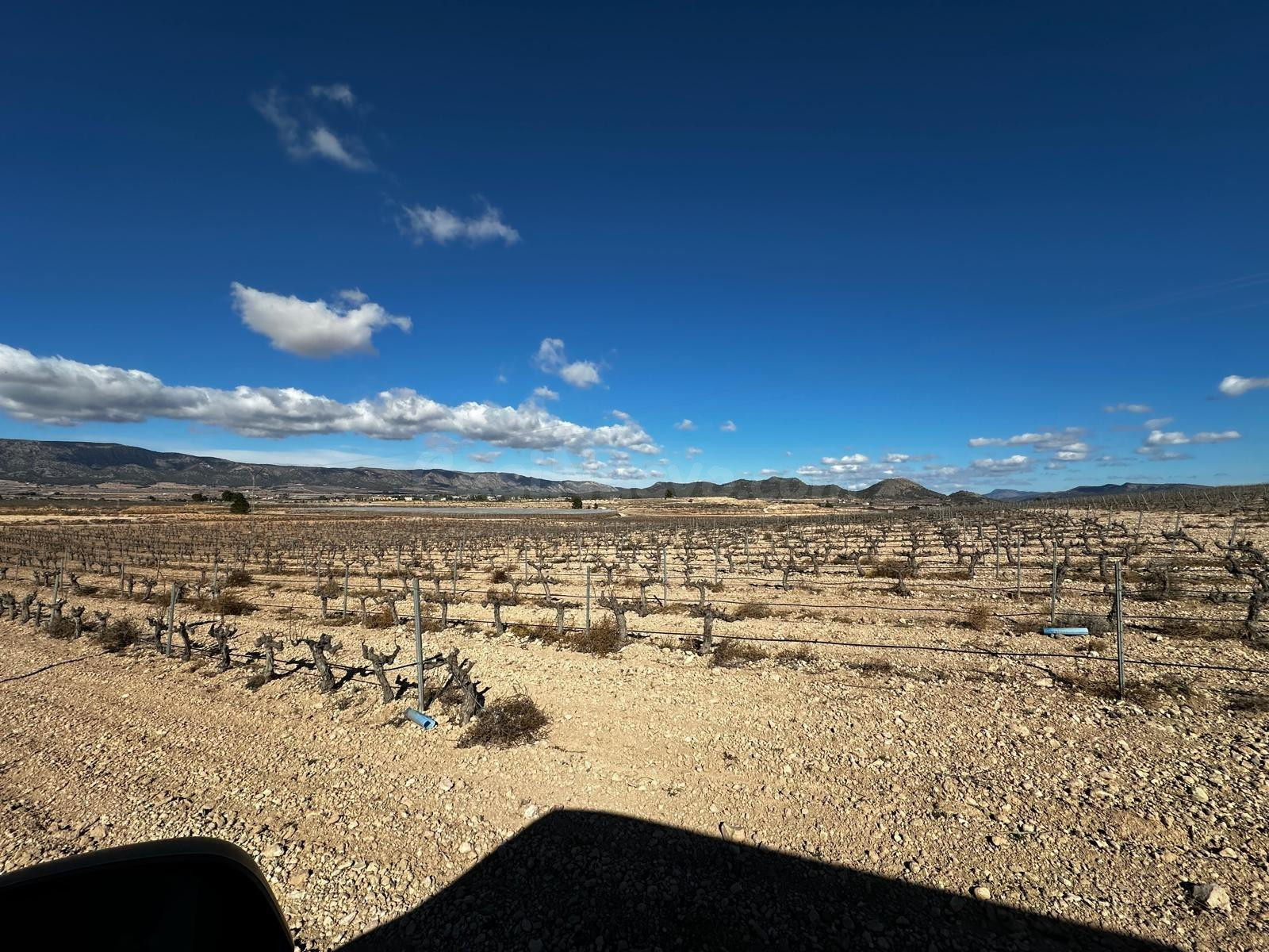 Terreno rústico en venta en Úbeda (Monóvar) – 14.000 m2 con  - foto 3