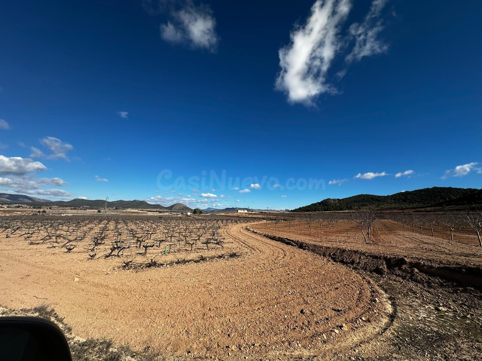 Terreno rústico en venta en Úbeda (Monóvar) – 14.000 m2 con  - foto 5