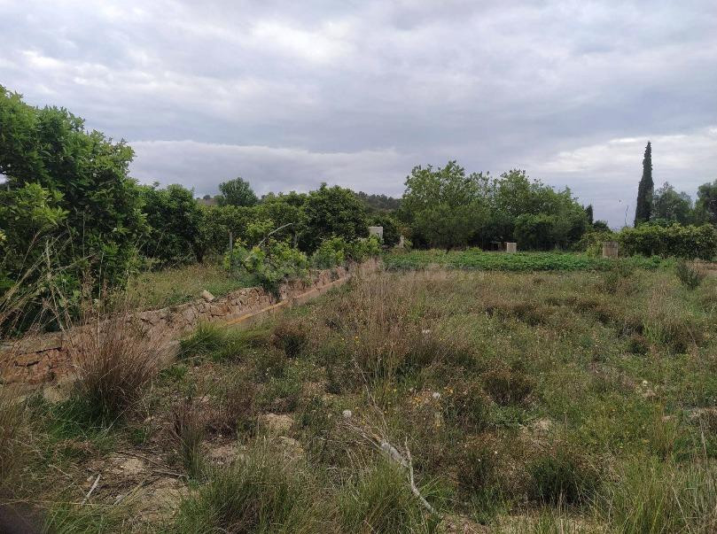 Suelo Urbano en Villajoyosa de 5.380m2 - foto 2