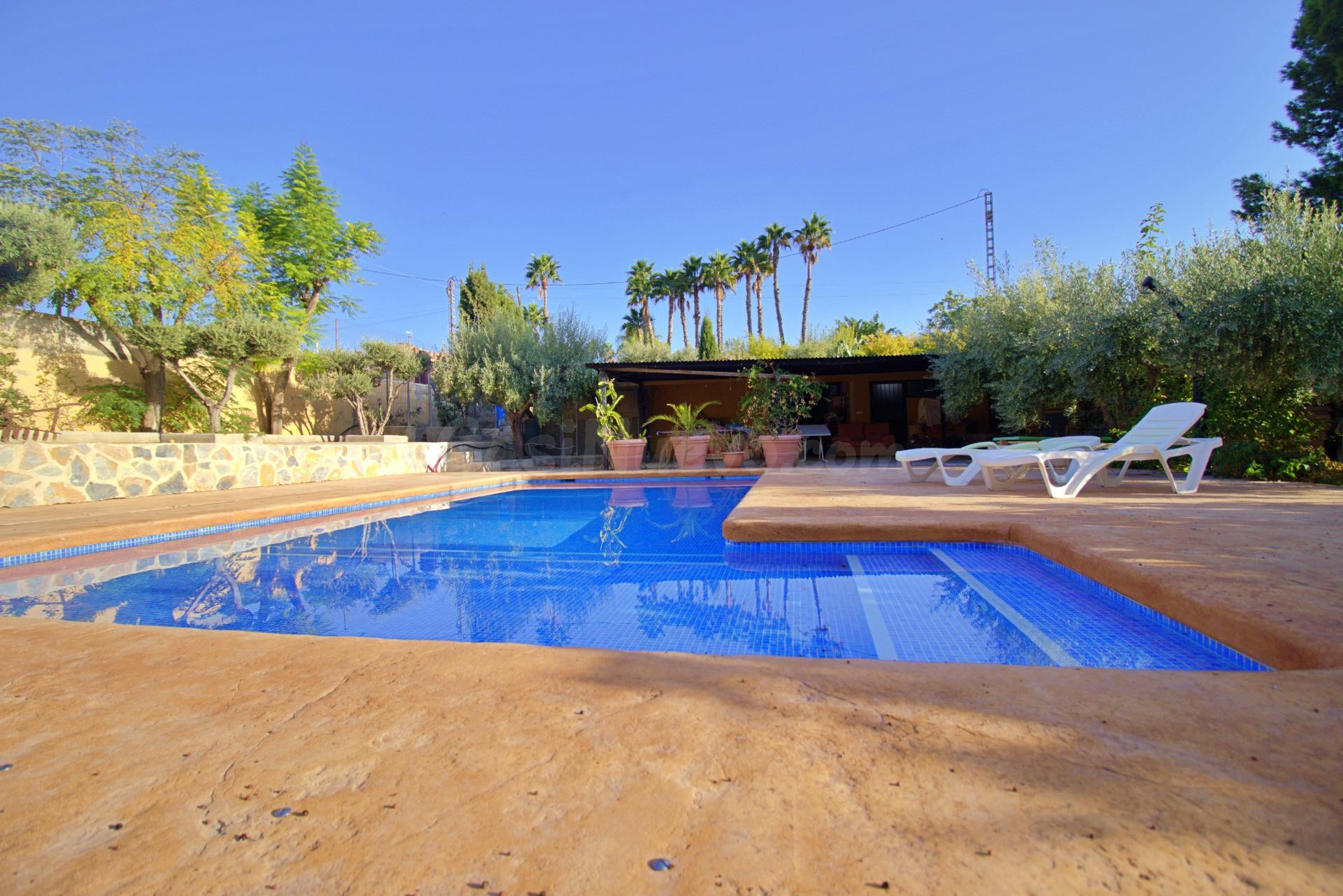 Impresionante Chalet en Elche Pedanías - Con Piscina y Ampli - foto 4