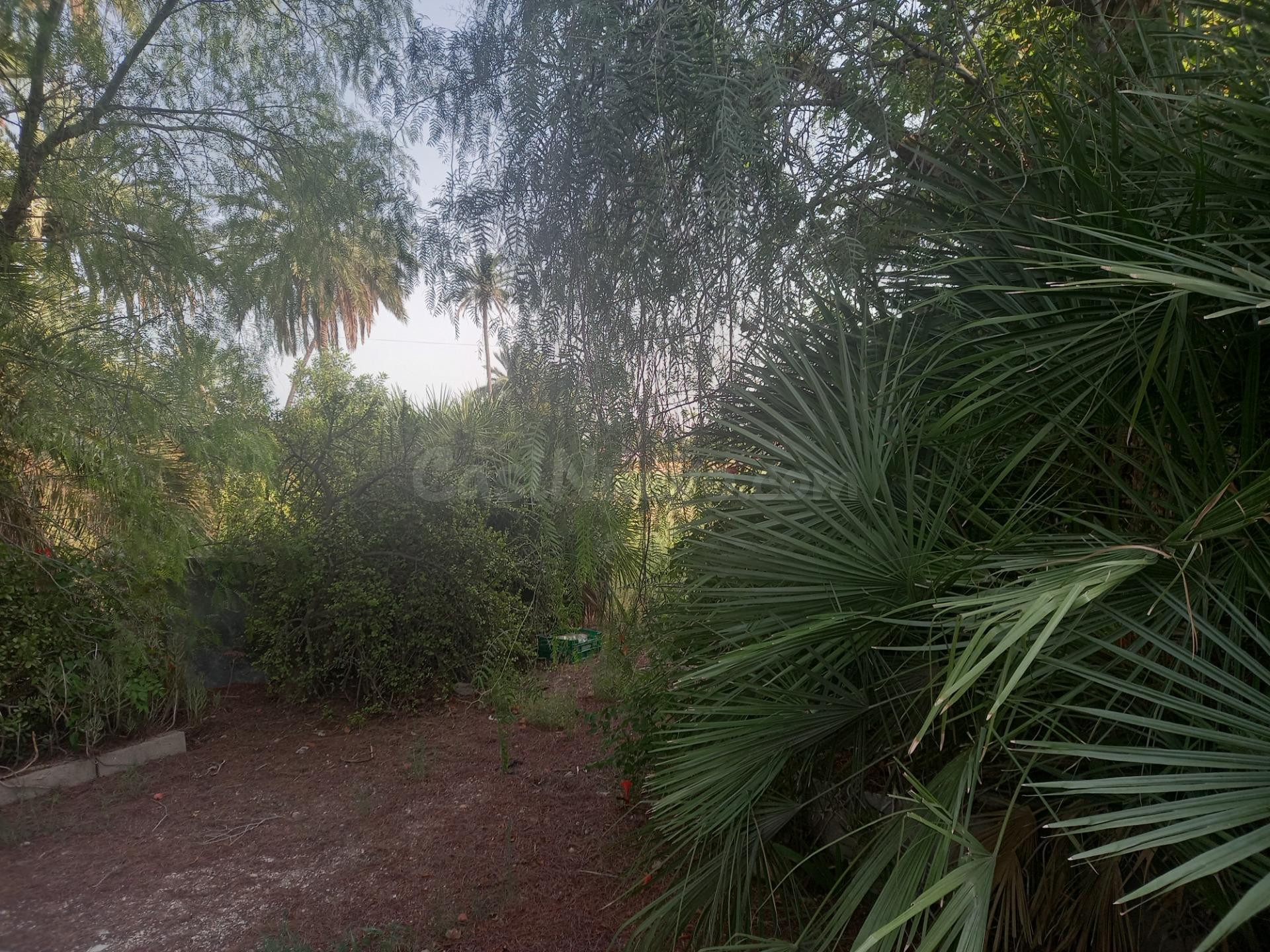 SE VENDE CASA DE CAMPO - foto 2