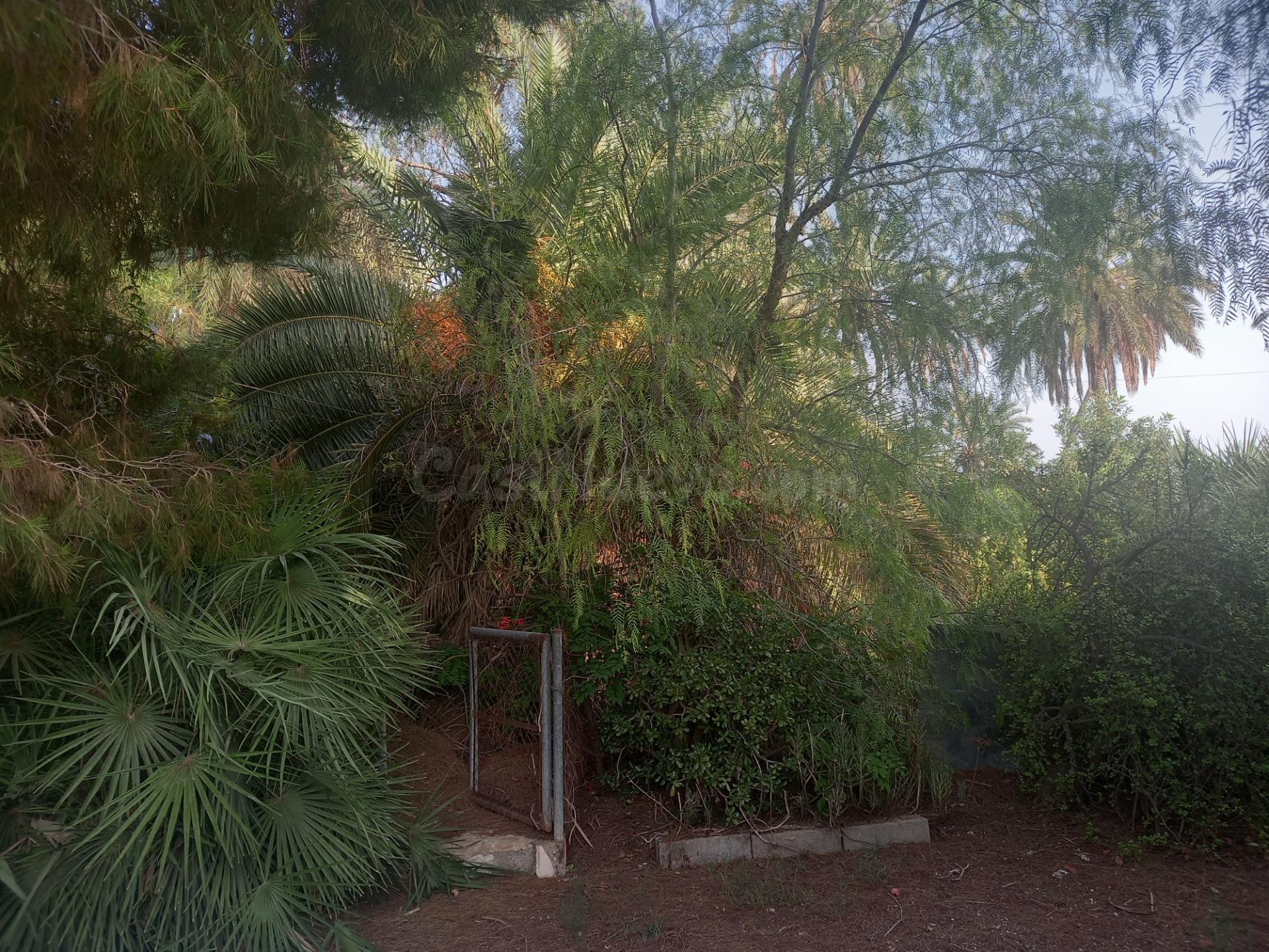 SE VENDE CASA DE CAMPO - foto 4