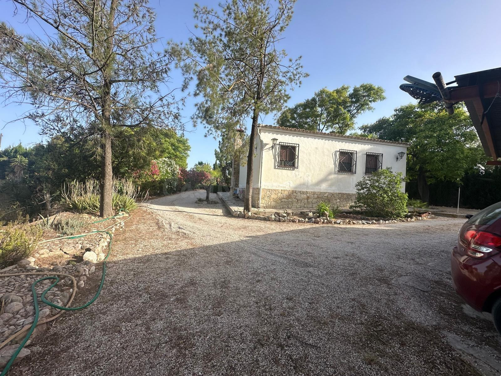 CHALET CON PARCELA EN CHARCO AMARGO (MONÓVAR) ☀️ - foto 4