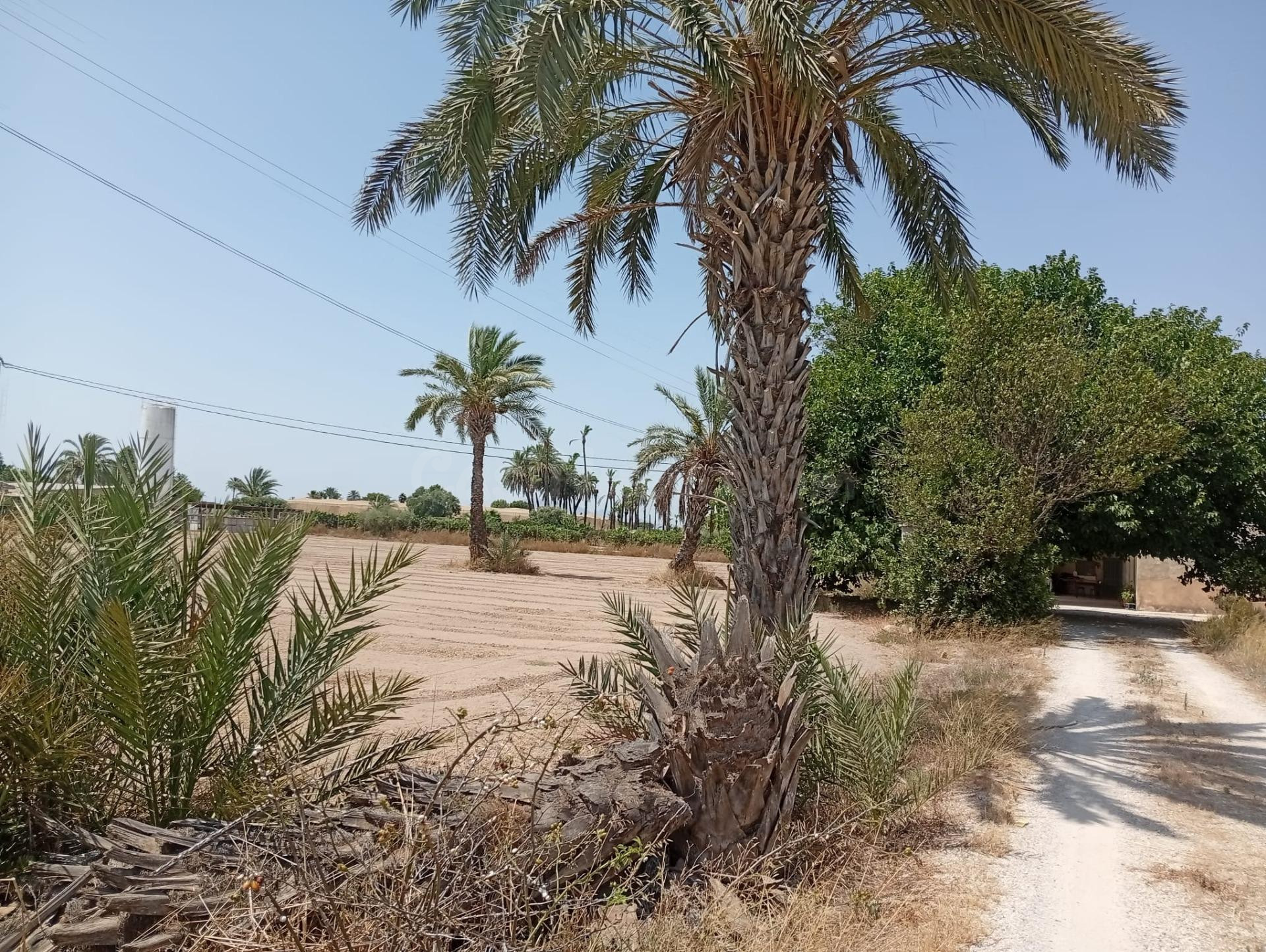 Casa de campo 300m² en venta - La Hoya-Daimes-El Derramador - foto 3