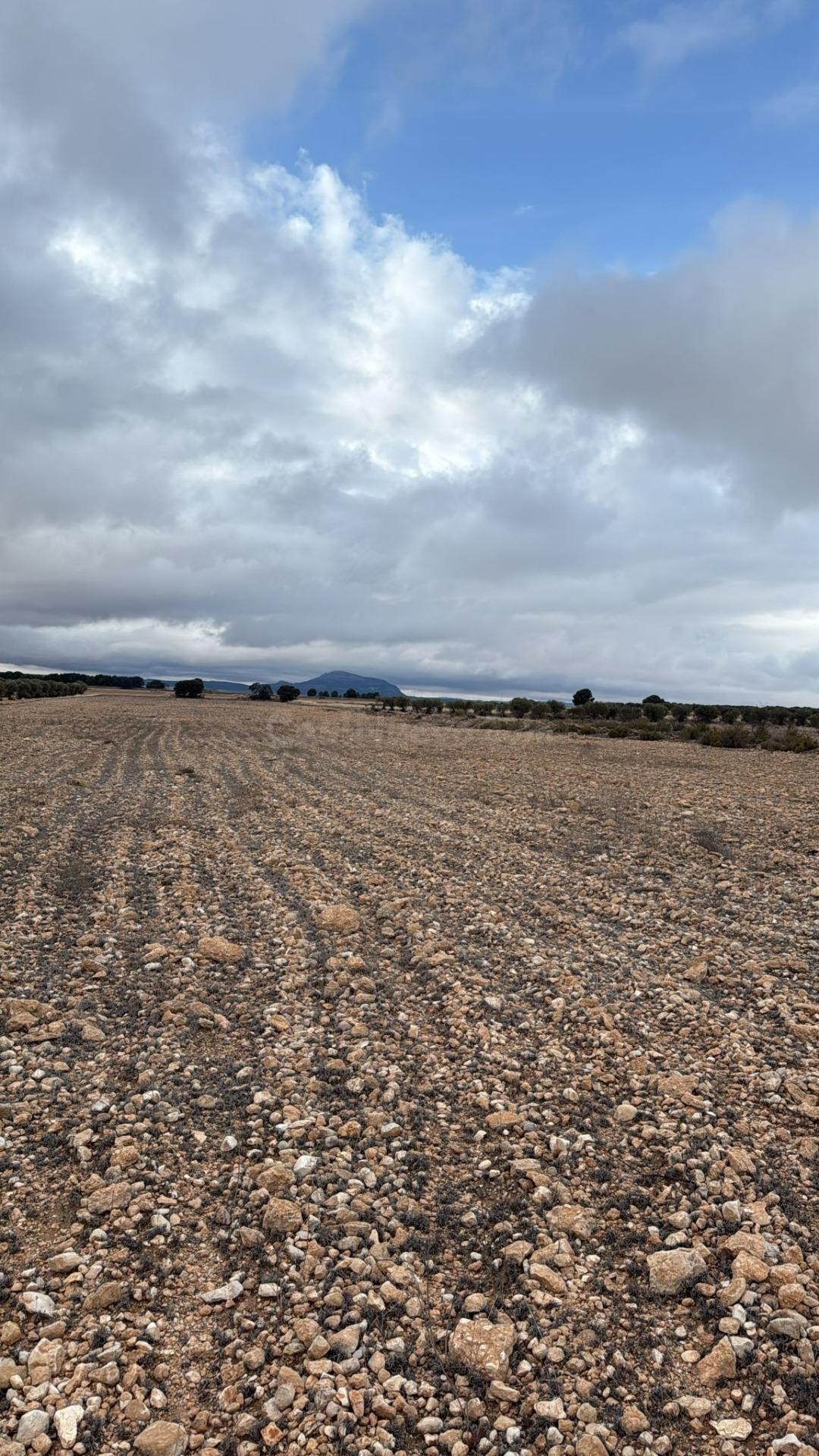 Amplio terreno en Yecla con caseta: naturaleza, espacio y mú - foto 4
