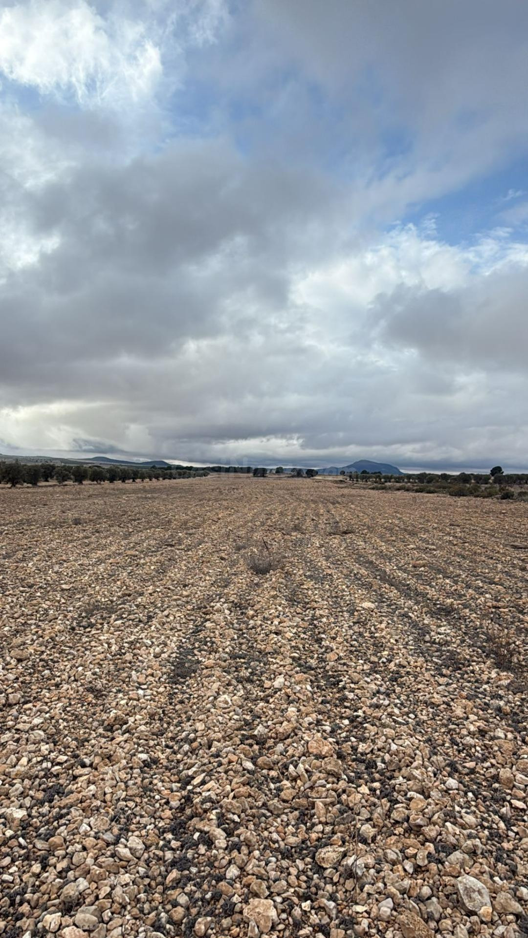 Amplio terreno en Yecla con caseta: naturaleza, espacio y mú - foto 5