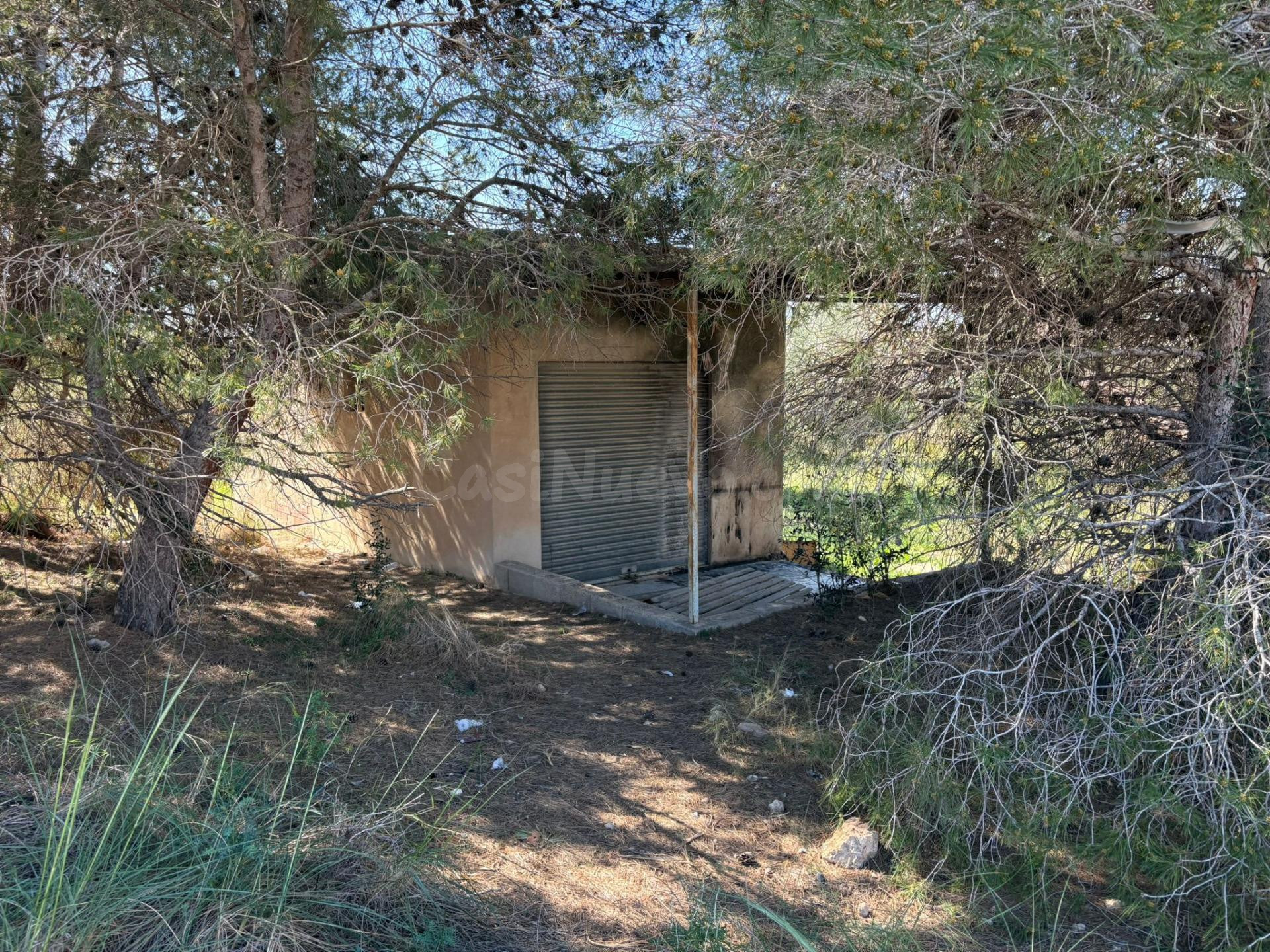 Se vende parcela de 3.000 metros cuadrados con una casa/alma - foto 2