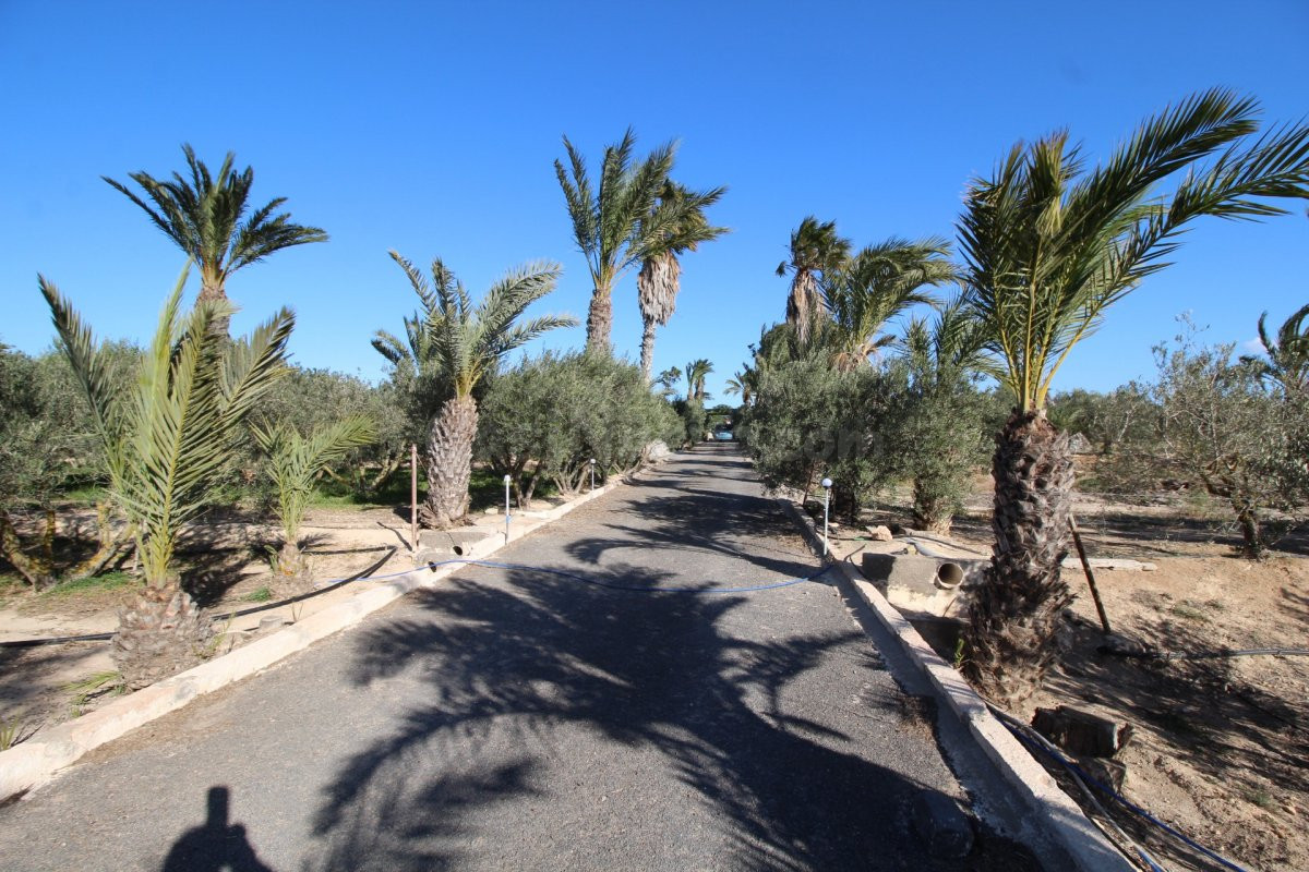 CHALET/FINCA DE OLIVOS EN NIJAR