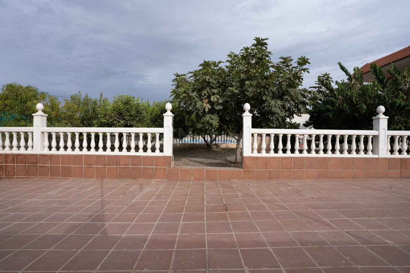 Se vende espectacular Hacienda chalet en pechina . - foto 5