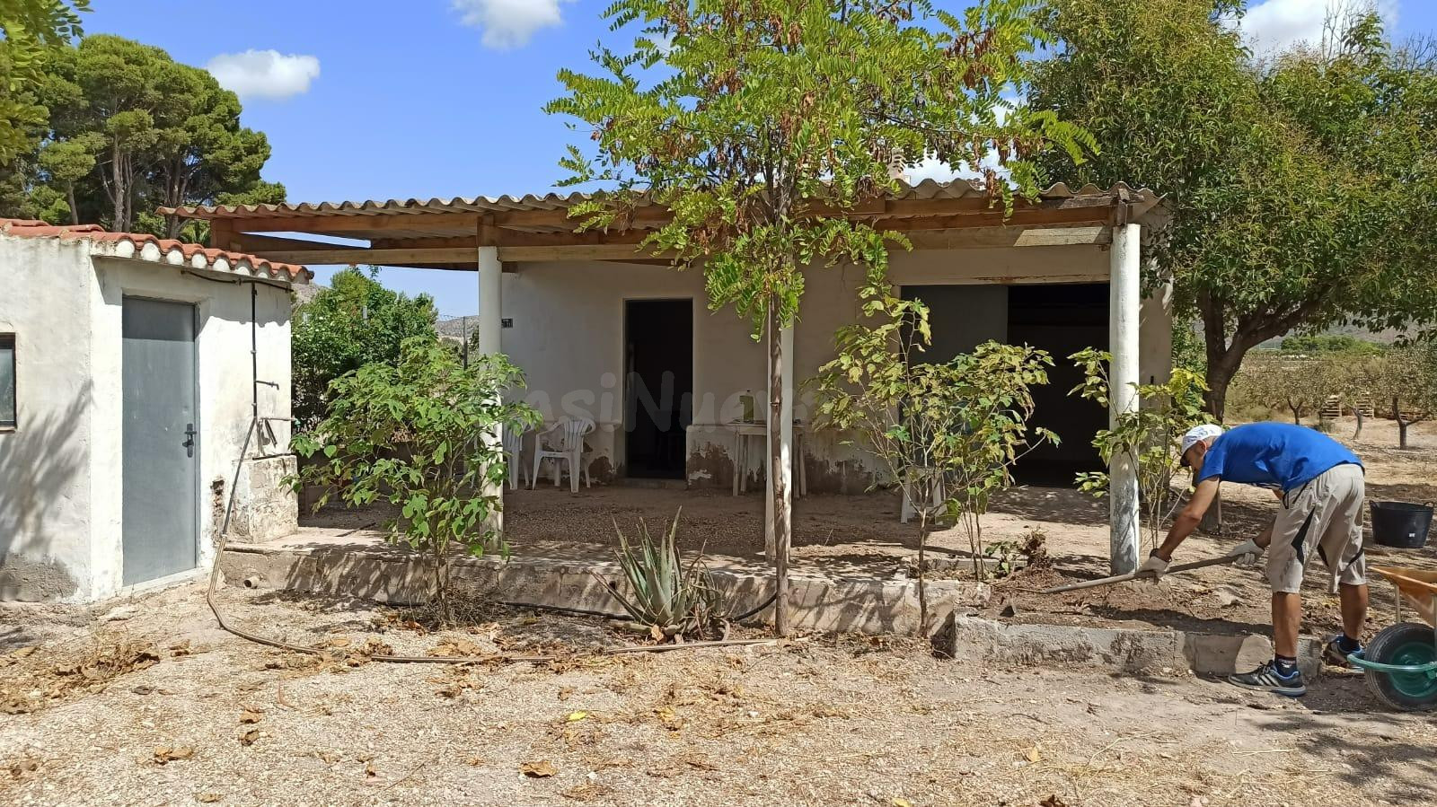 SE VENDE FINCA EN NOVELDA - ZONA LEDUA! - foto 2