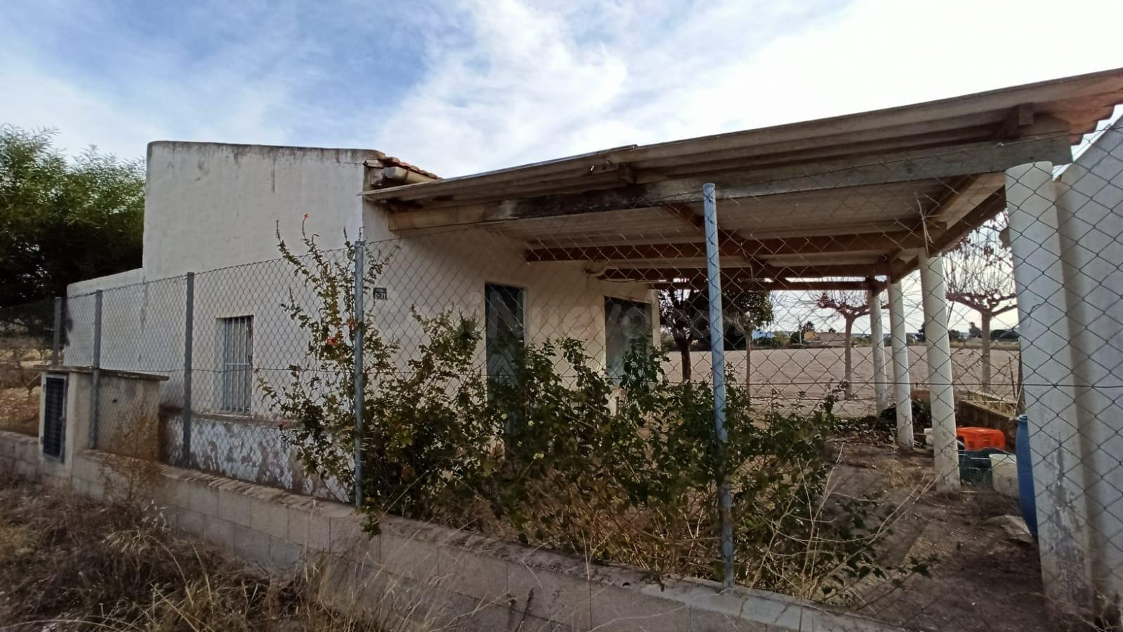 SE VENDE FINCA EN NOVELDA - ZONA LEDUA! - foto 3
