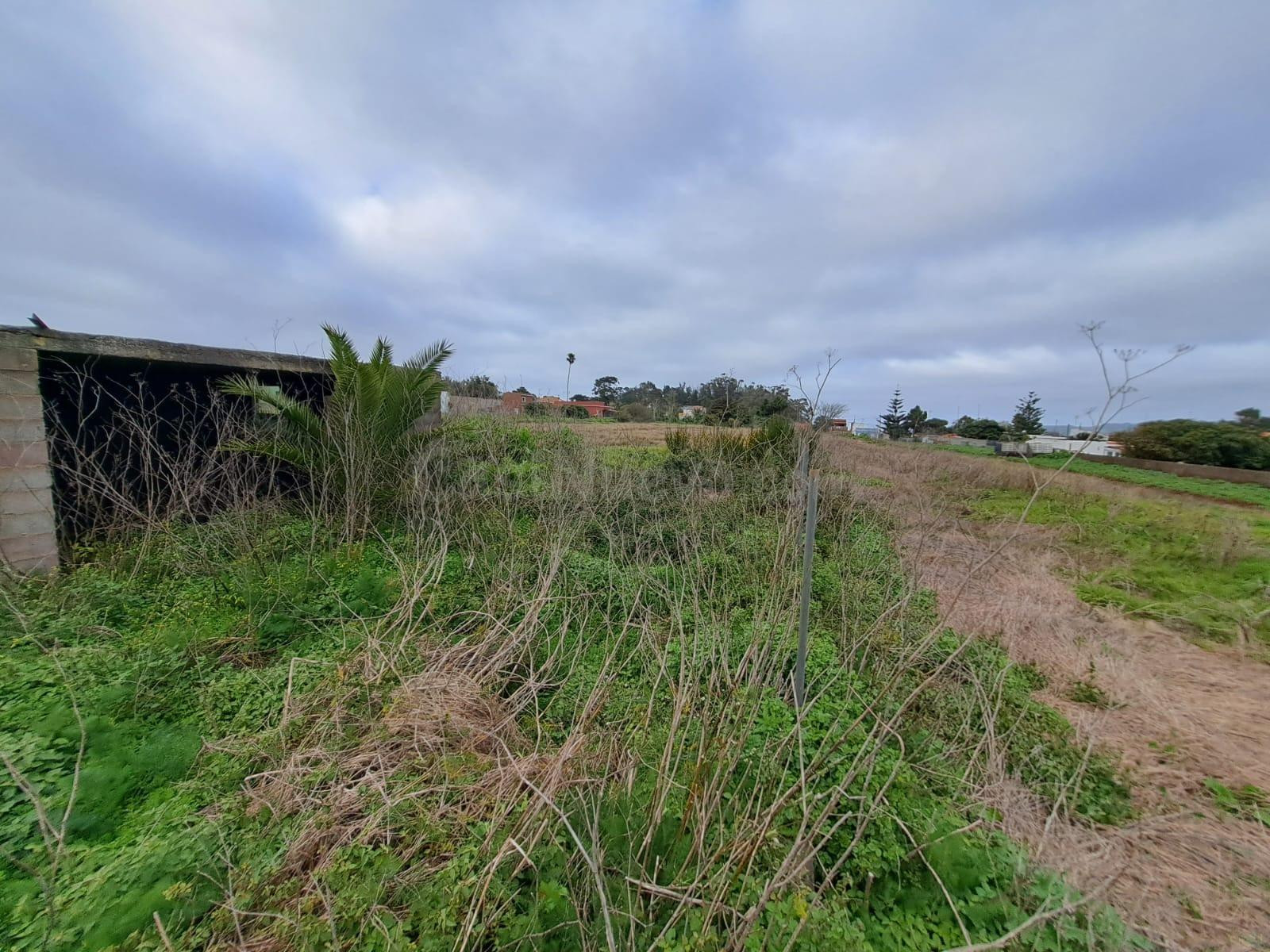 EXCLUSIVO SOLAR URBANO DE 5.092 m2 EN LOS RODEOS - foto 3
