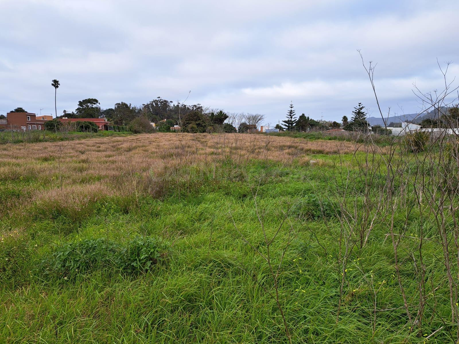 EXCLUSIVO SOLAR URBANO DE 5.092 m2 EN LOS RODEOS - foto 4