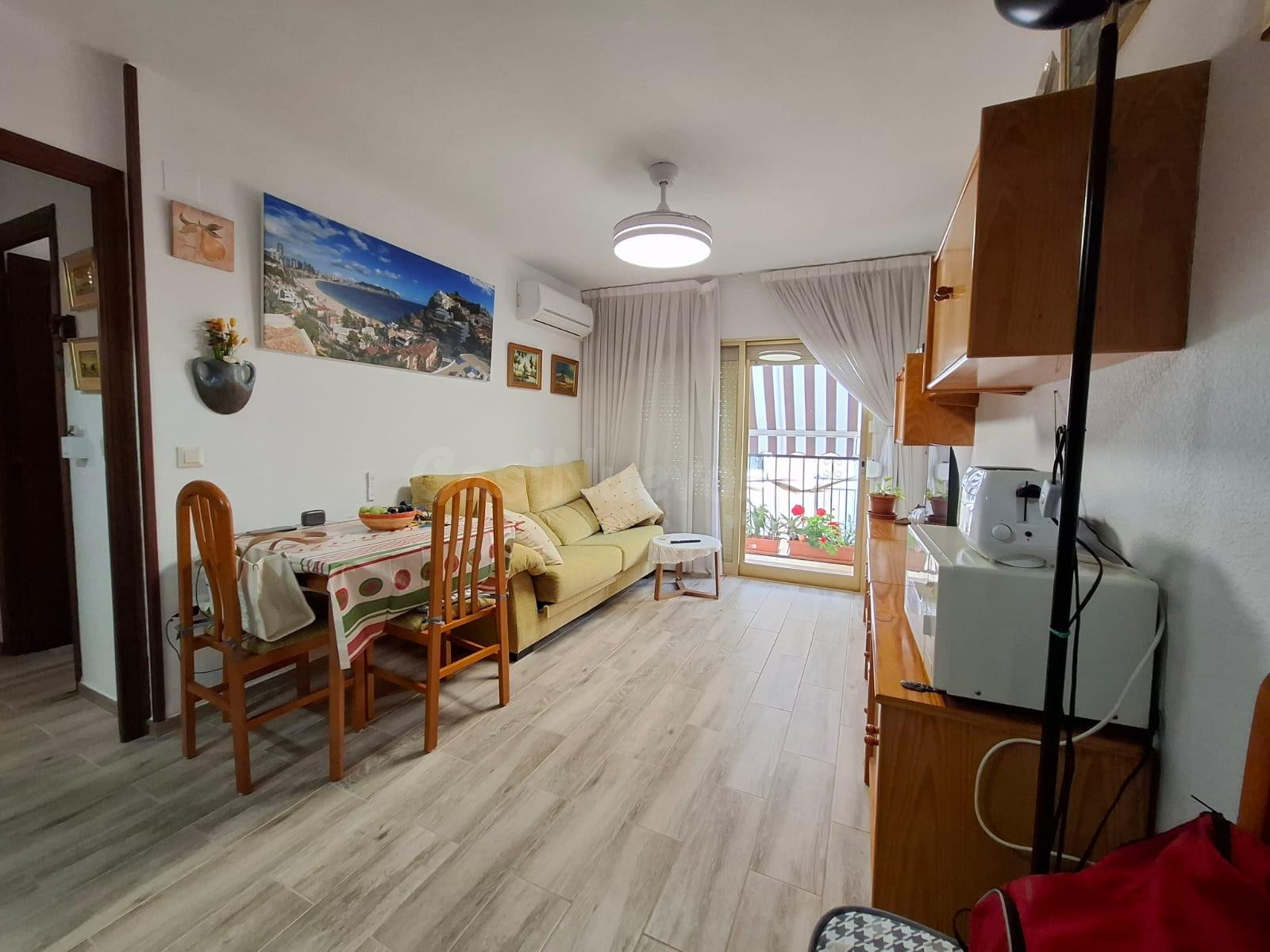✨ VIVE EL CORAZÓN DE BENIDORM – LISTO PARA ENTRAR A DISFRUTA - foto 3