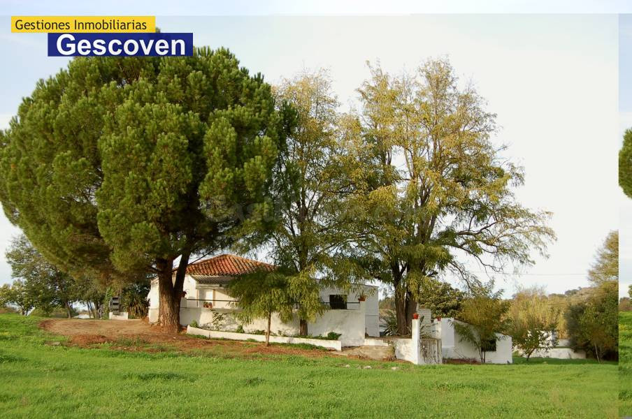 CHALET FINCA RUSTICA 16.000 m2