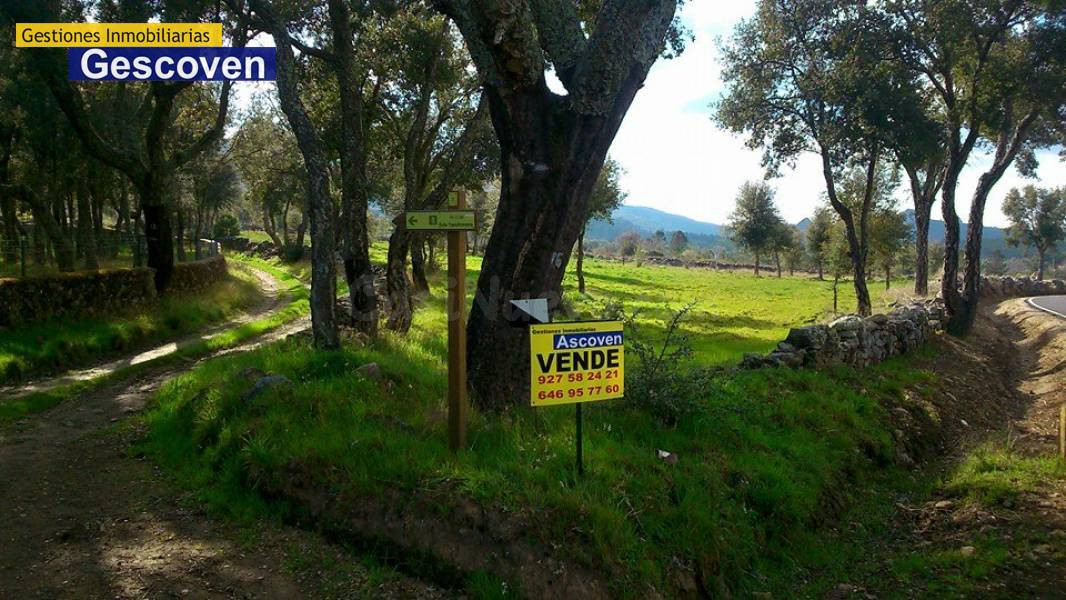 PRECIOSA PARCELA 6.000 m2. con electricidad