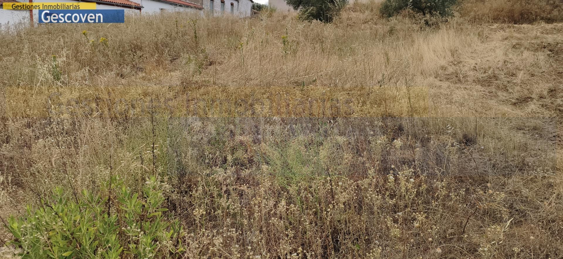 PARCELA URBANA EDIFICABLE - foto 4