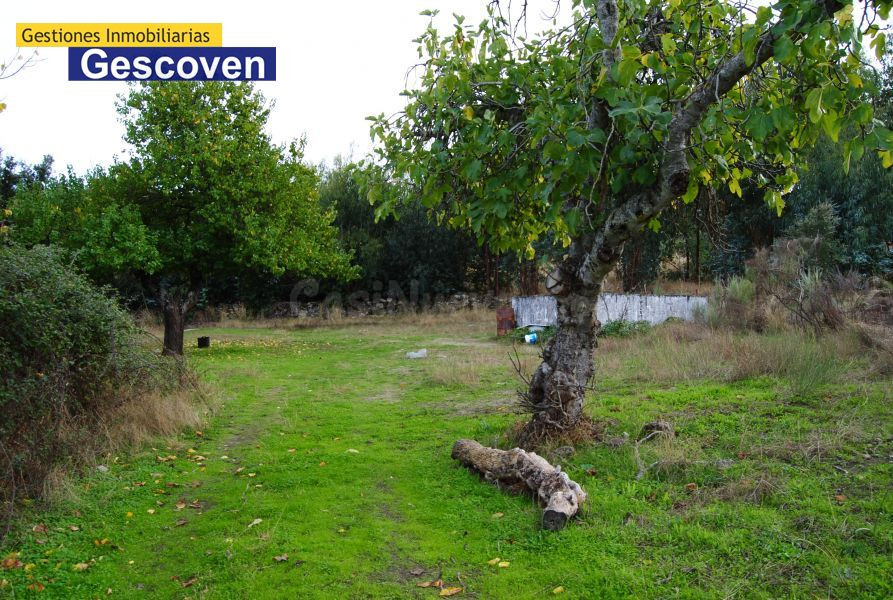 TERRENO JUNTO AL CASCO URBANO - foto 3